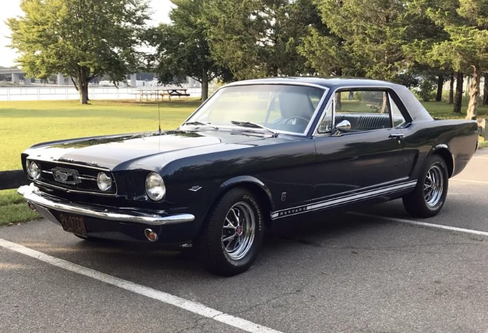 Old Mustangs for Sale: Navigating the Allure of a Classic Ride